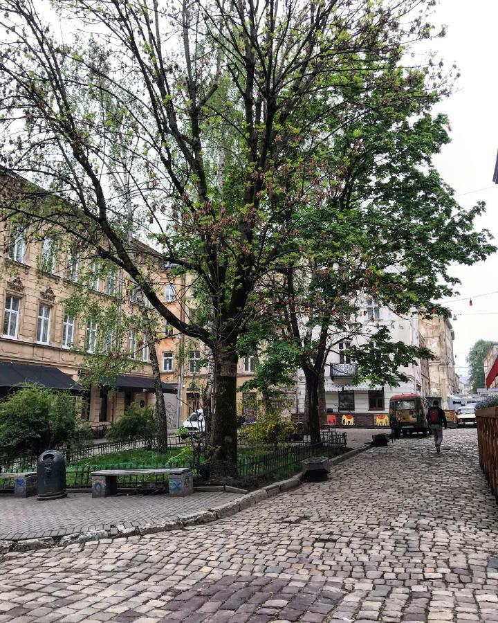 Vip Apartment Ploscha Rynok Lviv Eksteriør billede